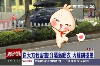 好害羞！整個馬路都是我的曬衣場