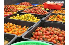 雲林亮起來-麥寮(業配)