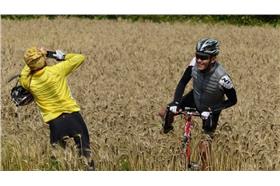 麥田　（翻攝自小惡魔）