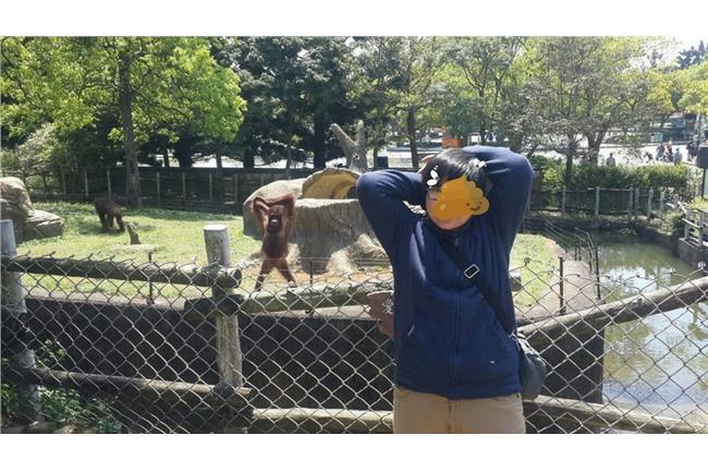 勝文是你？紅毛猩猩也瘋「聞腋青年」