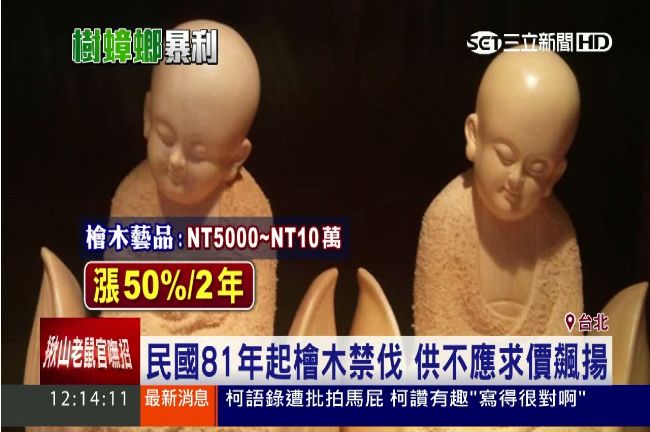 離譜！台灣檜木夯　陸客搶瘋價飆5成