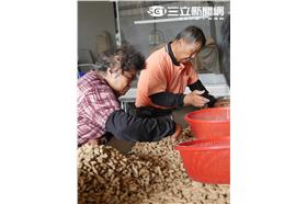 元長-雲林亮起來