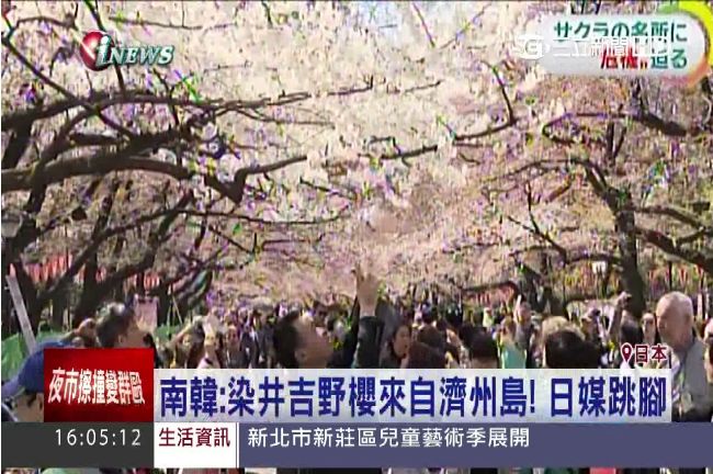 韓搶爭日櫻花血統國　中國也湊熱鬧
