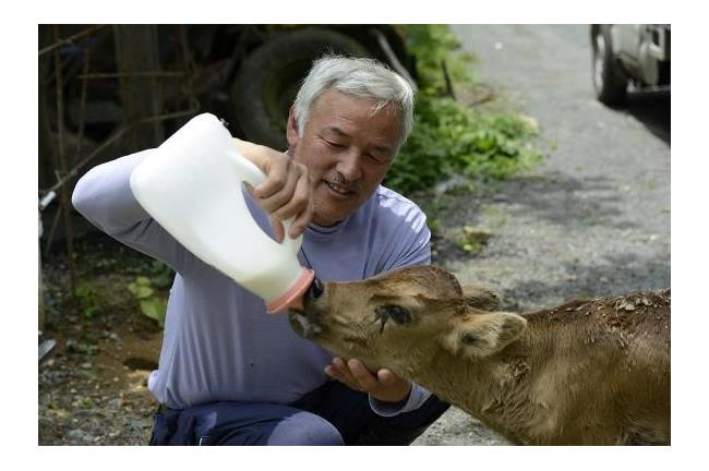 核災後留在災區守護被拋棄動物的男人