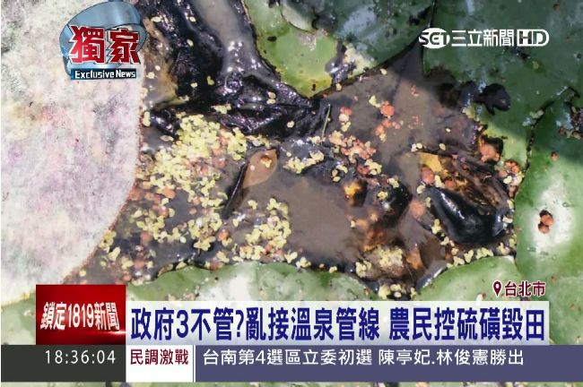 獨／柯P救救他！陽明山溫泉毀小農田