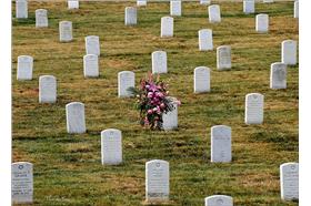 墓-flickr-Tony Fischer-https://www.flickr.com/photos/tonythemisfit/4093805689/in/photolist-7eKPNH-q8YXT7-aQqWiF-quDceN-pAWzC-nfRyBD-8hXC8h-ibjsYv-6JgFHP-bmhtQe-aDyFV7-Kmmme-7c2NGp-6qk8bY-7d6ReZ-6Ki1bs-qrX83-5jpFBr-bABAr-6pKhSx-6YzVqP-ig8abR-33LWf-ajzcmY-KEX8V-qbyESR-9gVwC8-7m81Qd-KEX8v-eRrWee-5TC1Qz-6GEYWQ-kpsddZ-qTowCS-4vXn6W-5sgUY2-bk6Jc5-qVprTo-r7vDv5-7jR2MN-vKxKJ-2iXTyY-oXaXXQ-7k6Kmu-rPwB3-6GEQxQ-pZCP14-7inaWv-pRPEWb-643dVz