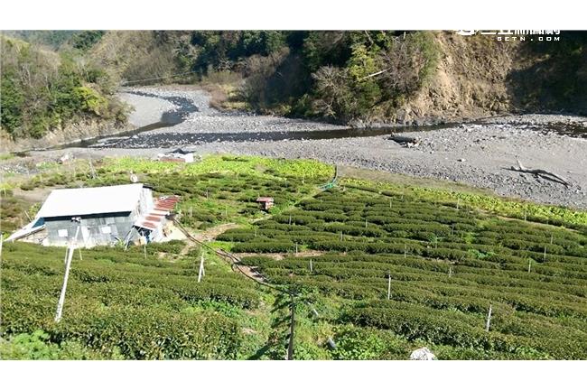 挑戰梨山雲霄飛車　陳艾琳差點嚇破膽