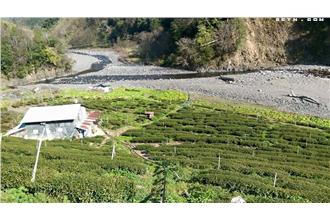 挑戰梨山雲霄飛車　陳艾琳差點嚇破膽