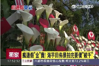 去海芋季玩要注意！這些東西都要付錢