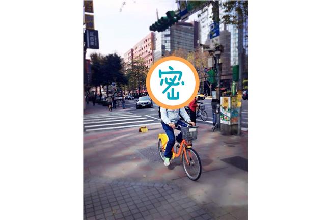 柯P有對手？政壇新「可愛動物」超夯