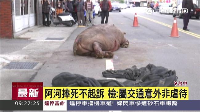 阿河摔死不起訴　檢：交通意外非虐待