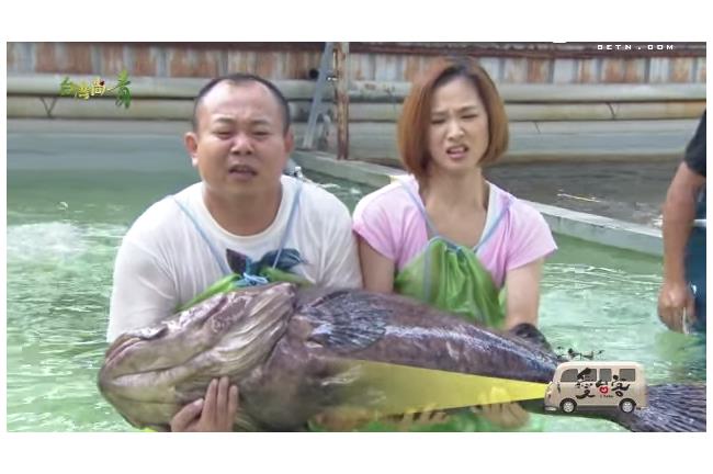 挑戰抓龍膽！鄭志偉遇驚險瞬間險斷腿