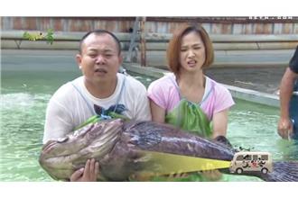 挑戰抓龍膽！鄭志偉遇驚險瞬間險斷腿