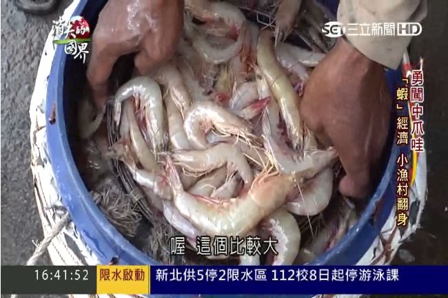 印尼爪哇養蝦王國　台商用心拚贏日本
