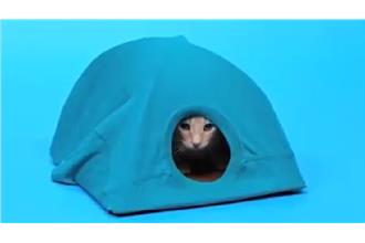 討喵老大歡心　DIY貓屋教學