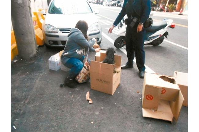 毛小孩車上便溺　運將暴怒丟出車外