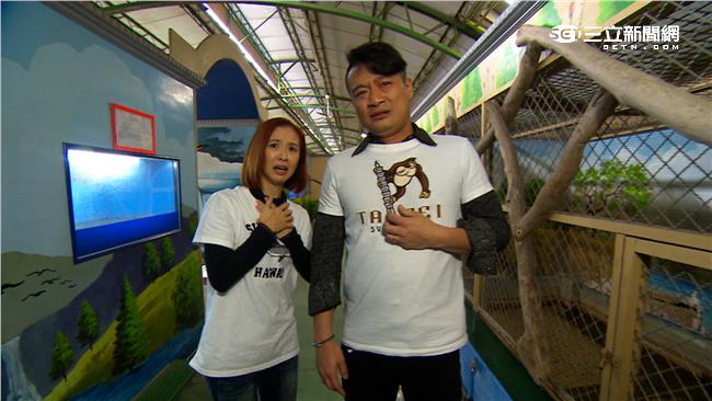 近距離與鱷魚接觸？林佑星喊錢好難賺