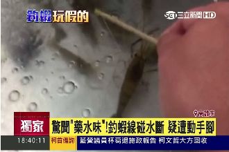 怎麼釣怎麼斷　夜市釣蝦線爆超「瞎」