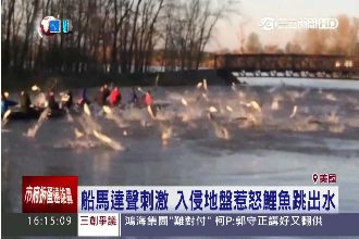 美淡水湖鯉魚暴動　躍出水面襲划船隊