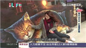 老村落瘋彩繪！　雲林貓村成十大地景