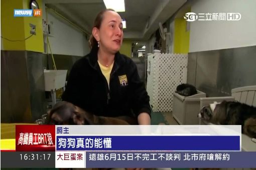 日最新研究揭祕 "毛小孩"等同真小孩