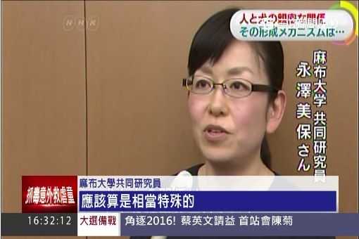 日最新研究揭祕 "毛小孩"等同真小孩