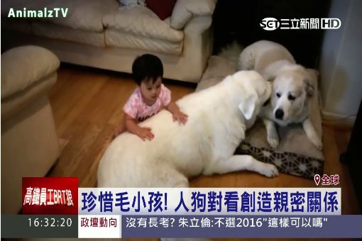 日最新研究揭祕 "毛小孩"等同真小孩