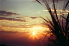 夕陽/大醫院小故事臉書