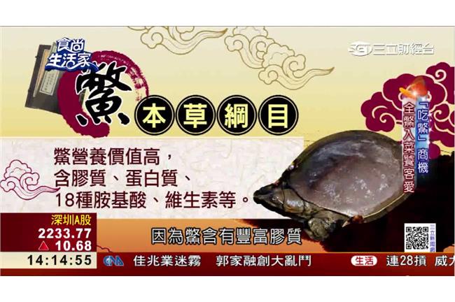 頭到腳充分利用！一鱉多用拼千萬商機