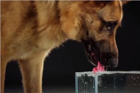 圖／翻攝自臉書影片