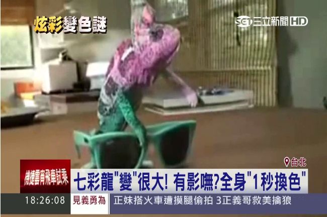 超驚人？七彩變色龍1秒換色的真相