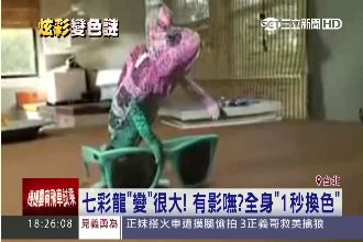 超驚人？七彩變色龍1秒換色的真相
