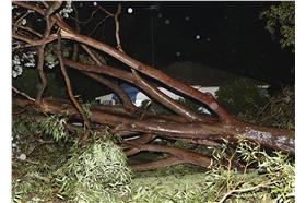 澳洲風災／圖／美聯社／達志影像