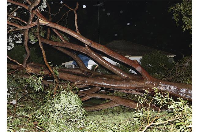 國際天災不斷　澳洲美國同遭冰雹侵襲