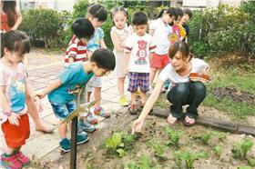 田園都市 (河堤國小提供)