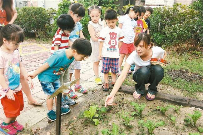 一起種菜！北市田園城市後天開放申請