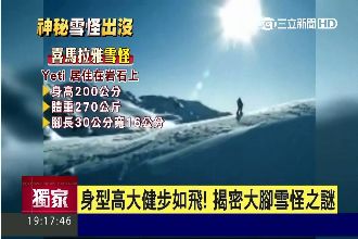 喜馬拉雅驚見雪怪　身型高大健步如飛