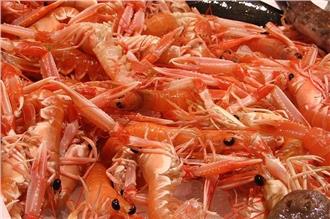 官商勾結！進口6噸輻射蝦、毒蘆筍