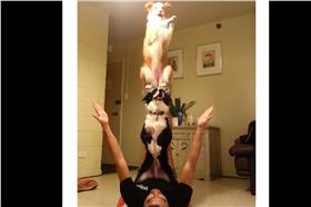 圖／翻攝自YouTube