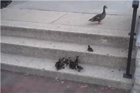 圖／翻攝自YouTube影片（首圖）