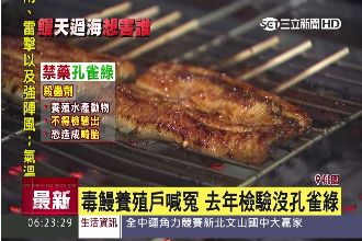 出口遭攔轉內銷　毒鰻業者：要送朋友