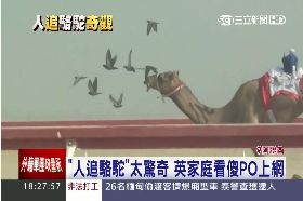 駱駝大逃亡1800