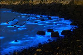 馬祖藍眼淚／翻攝自馬祖藍眼淚臉書(https://www.facebook.com/pages/%E9%A6%AC%E7%A5%96%E8%97%8D%E7%9C%BC%E6%B7%9A/283603988470568?sk=photos_stream)