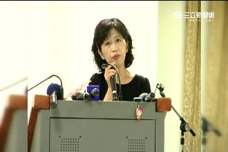 藍嗆安檢柯P家　陳佩琪酸：立意良善