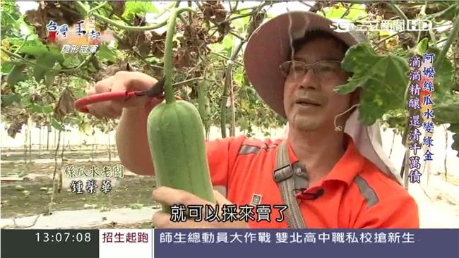 絲瓜變綠金！美女都愛的天然化妝水