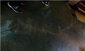 裂痕,北捷,國父紀念館,大巨蛋／翻攝自《松菸護樹》臉書