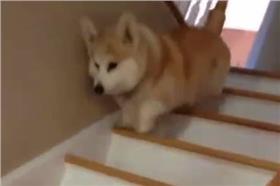 （科基／翻攝自Young Paperboyz臉書）
https://www.facebook.com/YoungPaperboyzMusic/videos/704394259661511/