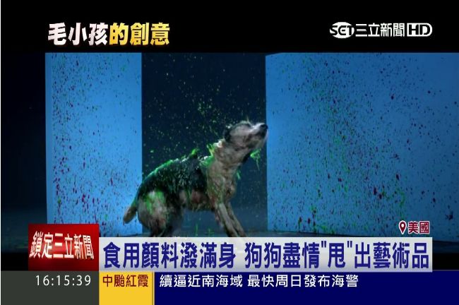狗狗「甩畫藝術」　替流浪動物募款