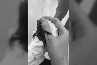 玻璃門突然爆裂　設計師遭割傷慘縫針