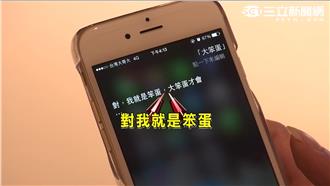 導航語音會說話了：對～我就是大笨蛋